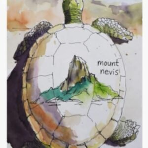 Turtle of  The Caribbean Mount Nevis Poster